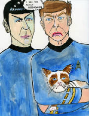 McCoy and Spock with Grumpy Cat - By T'Prillah