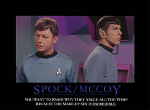 Spock/McCoy Inspirational Poster - By Echo