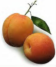 Mmmm...peaches